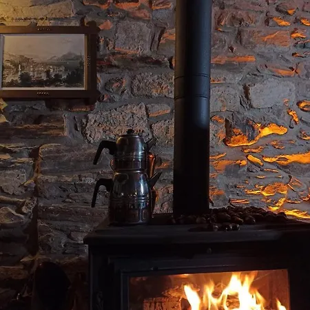 Helvacilar Konagi Karacasu (Aydin)