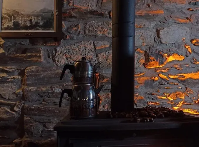 Helvacilar Konagi Karacasu (Aydin)